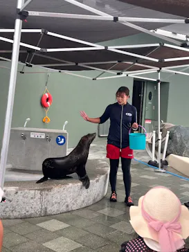 大分マリーンパレス水族館 「うみたまご」に投稿された画像（2026/8/8）