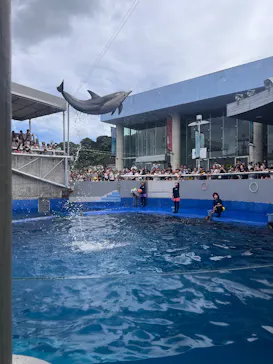 大分マリーンパレス水族館 「うみたまご」に投稿された画像（2026/8/8）