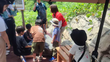 福井県立恐竜博物館に投稿された画像（2026/8/8）