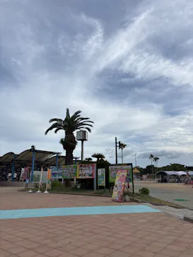 海の中道サンシャインプールに投稿された画像（2026/8/8）