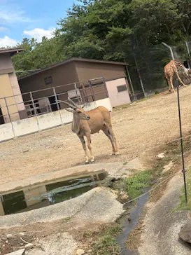 アドベンチャーワールドに投稿された画像（2026/8/8）