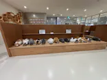 Cat Café MOFF 仙台PARCO店に投稿された画像（2026/8/8）