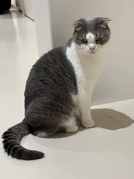 Cat Café MOFF 仙台PARCO店に投稿された画像（2026/8/8）