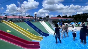 キサイフーズはなさきふれあいパークに投稿された画像（2026/8/8）