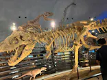 福井県立恐竜博物館に投稿された画像（2026/8/8）