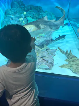 アクアワールド茨城県大洗水族館に投稿された画像（2026/8/8）