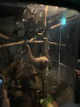 名古屋市東山動植物園に投稿された画像（2026/8/8）