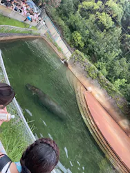 名古屋市東山動植物園に投稿された画像（2026/8/8）
