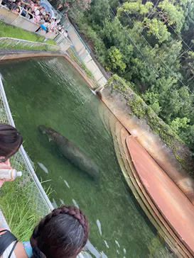 名古屋市東山動植物園に投稿された画像（2026/8/8）