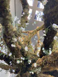 BOTANICA MUSEUMに投稿された画像（2026/8/8）