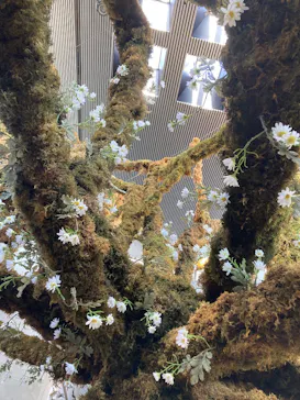 BOTANICA MUSEUMに投稿された画像（2026/8/8）
