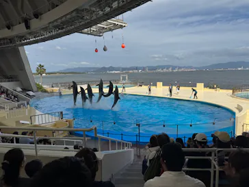 マリンワールド海の中道に投稿された画像（2026/8/8）
