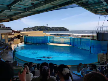 新江ノ島水族館に投稿された画像（2026/8/8）