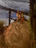 名古屋市東山動植物園に投稿された画像（2026/8/8）
