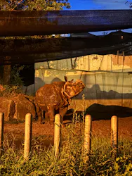 名古屋市東山動植物園に投稿された画像（2026/8/8）