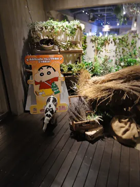 おふろcafé ハレニワの湯に投稿された画像（2026/8/8）