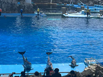 名古屋港水族館に投稿された画像（2026/8/8）