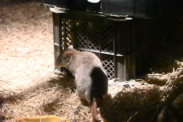 多摩動物公園に投稿された画像（2026/8/8）