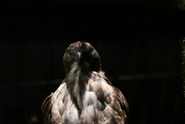 多摩動物公園に投稿された画像（2026/8/8）
