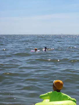 稲毛海浜公園（SUNSET BEACH PARK INAGE）に投稿された画像（2026/8/8）