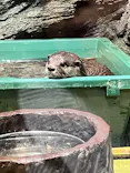 竹島水族館に投稿された画像（2026/8/8）