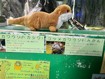 竹島水族館に投稿された画像（2026/8/8）