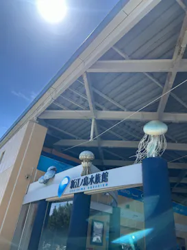 新江ノ島水族館に投稿された画像（2026/8/8）