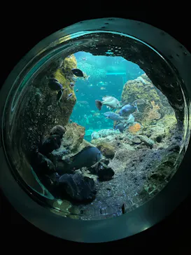 新江ノ島水族館に投稿された画像（2026/8/8）