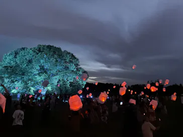 東京 星空と光の夏祭り（開催日：8月8日～16日）に投稿された画像（2026/8/8）