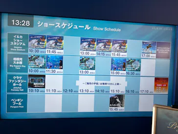 新江ノ島水族館に投稿された画像（2026/8/8）