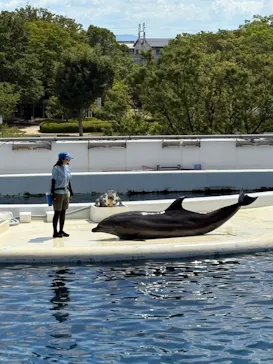 京都水族館に投稿された画像（2026/8/8）