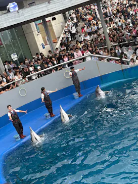 大分マリーンパレス水族館 「うみたまご」に投稿された画像（2026/8/8）