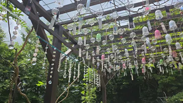 箱根ガラスの森美術館に投稿された画像（2026/8/8）