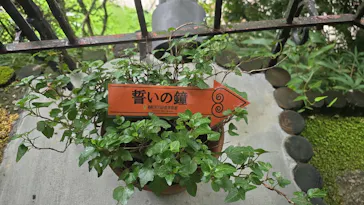 箱根ガラスの森美術館に投稿された画像（2026/8/8）