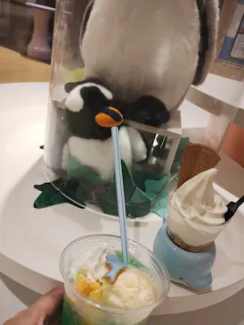 仙台うみの杜水族館に投稿された画像（2026/8/8）