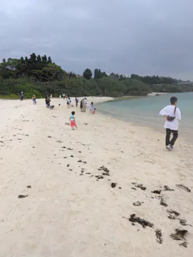 沖縄美ら海水族館に投稿された画像（2026/8/8）