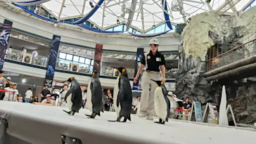 アドベンチャーワールドに投稿された画像（2026/8/8）