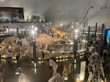 福井県立恐竜博物館に投稿された画像（2026/8/9）