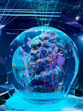 AQUARIUM × ART　atoaに投稿された画像（2026/8/8）
