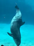名古屋港水族館に投稿された画像（2026/8/9）