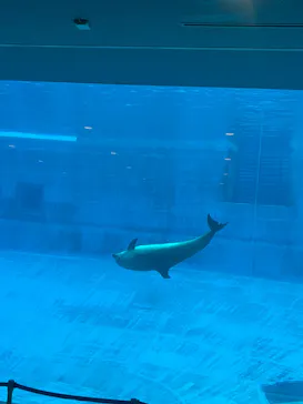 名古屋港水族館に投稿された画像（2026/8/8）