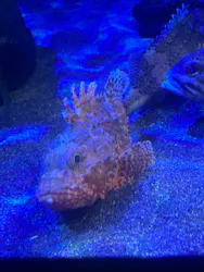 サンシャイン水族館に投稿された画像（2026/8/8）