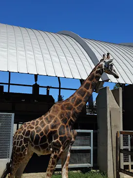 霞ケ浦 どうぶつとみんなのいえに投稿された画像（2026/8/9）