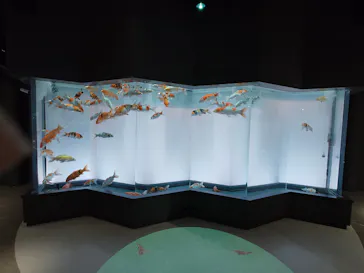 みやじマリン宮島水族館に投稿された画像（2026/8/9）
