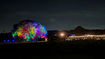 東京 星空と光の夏祭り（開催日：8月8日～16日）に投稿された画像（2026/8/9）