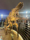 福井県立恐竜博物館に投稿された画像（2026/8/9）