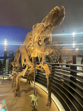 福井県立恐竜博物館に投稿された画像（2026/8/9）
