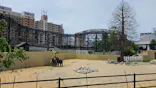 天王寺動物園に投稿された画像（2026/8/9）