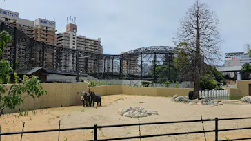 天王寺動物園に投稿された画像（2026/8/9）