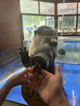 ゼロ距離水族館 伊勢シーパラダイスに投稿された画像（2026/8/9）